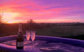 Maple Glamping Hut With Hot Tub, Ensuite, Fenced Garden, Bbq, Firepit, Alpacas On Site, Views, Dog Friendly On Anglesey, North Wales